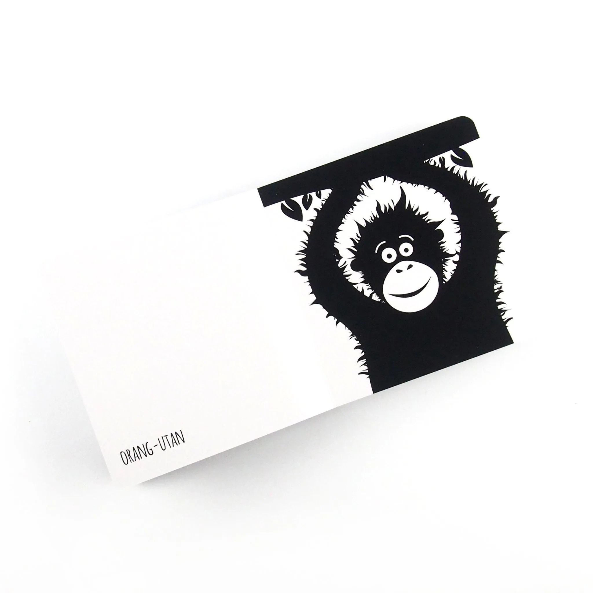 High Contrast Baby Book - Southeast Asian Animals