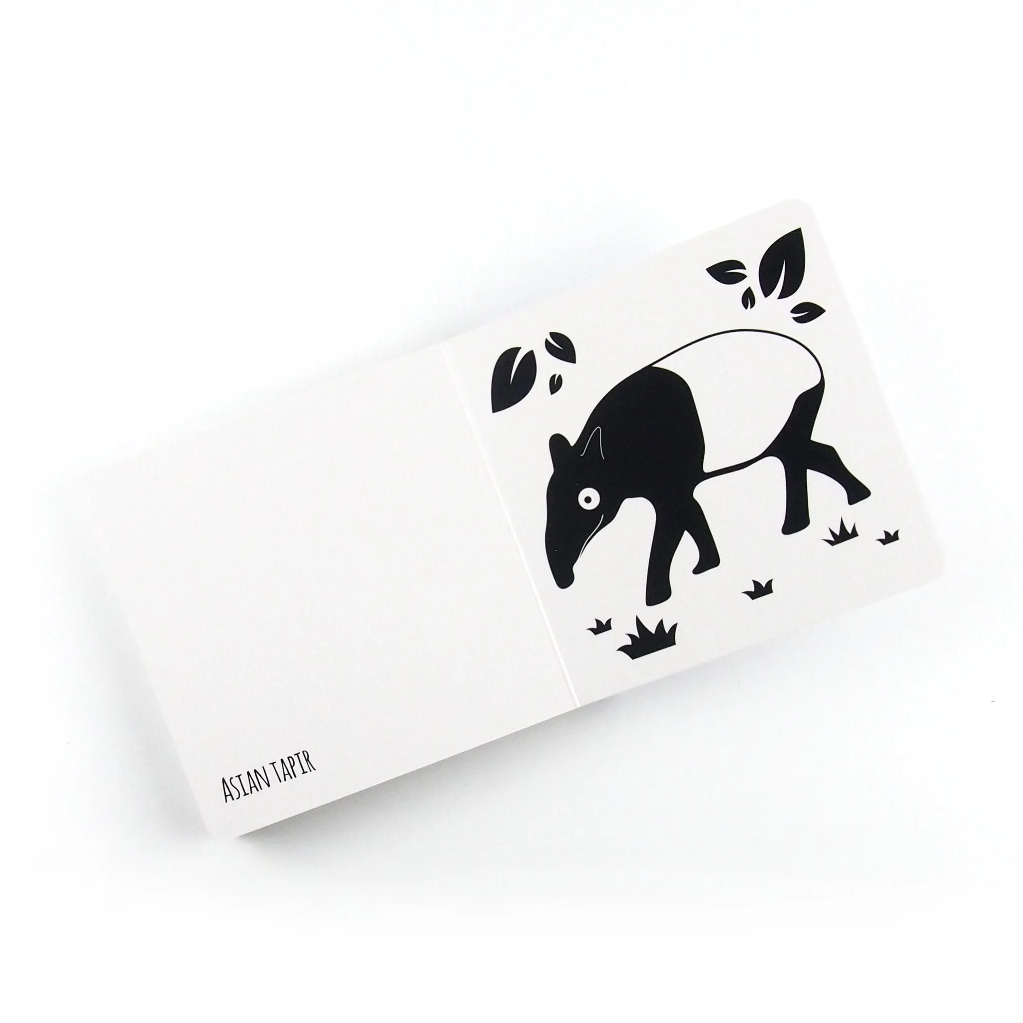 High Contrast Baby Book - Southeast Asian Animals