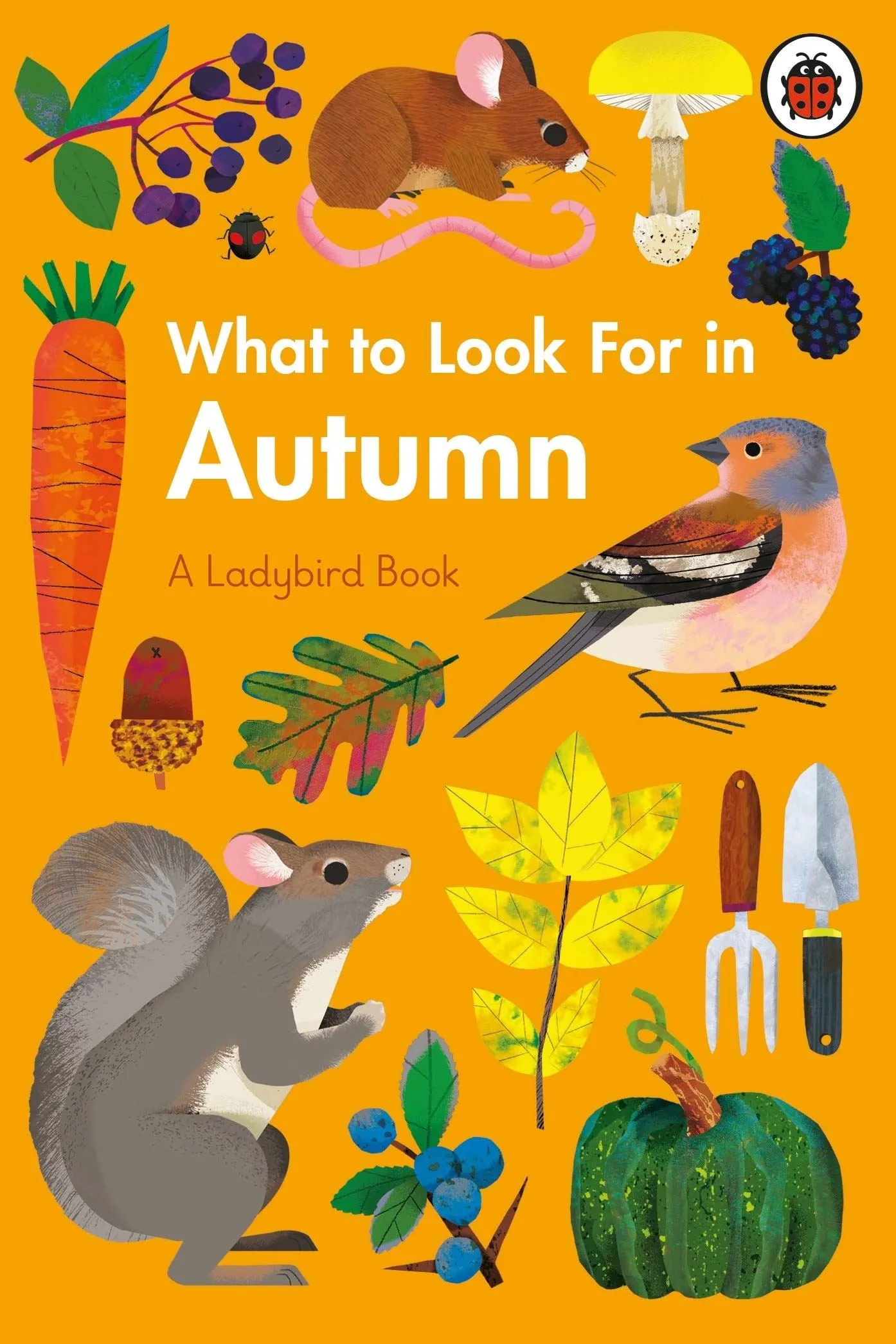 What to look for in Autumn (hardback)